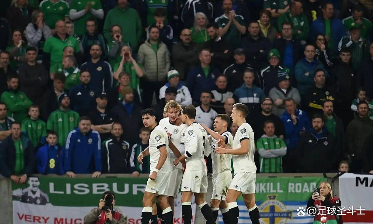 爱尔兰队在场上展现出色团队配合
